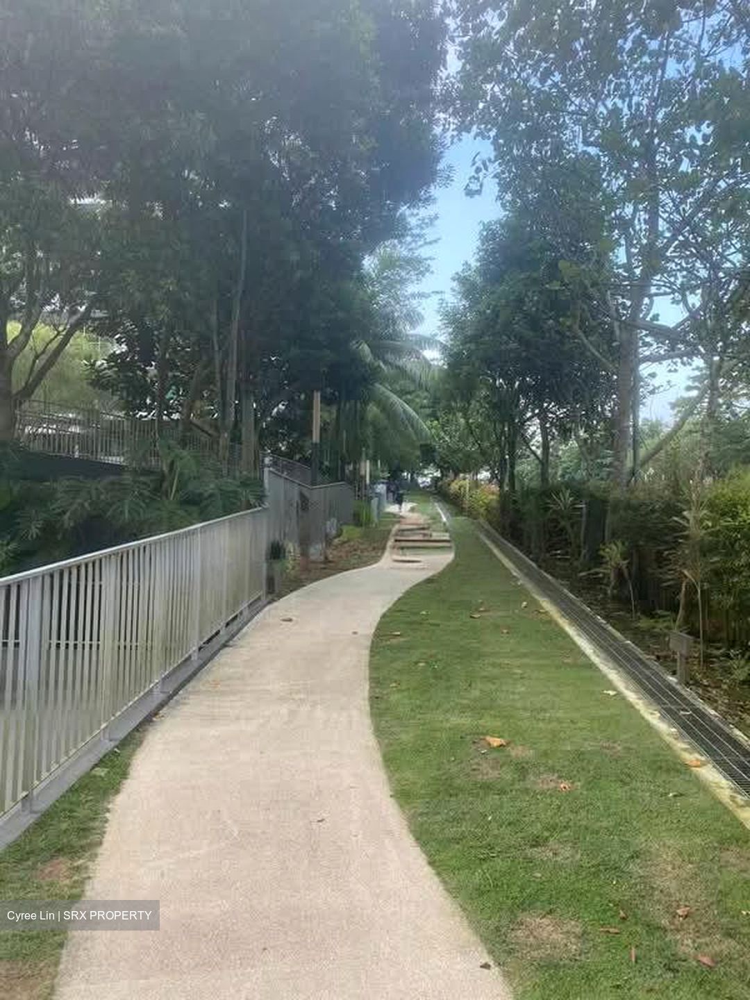 Tree House (D23), Condominium #558104731